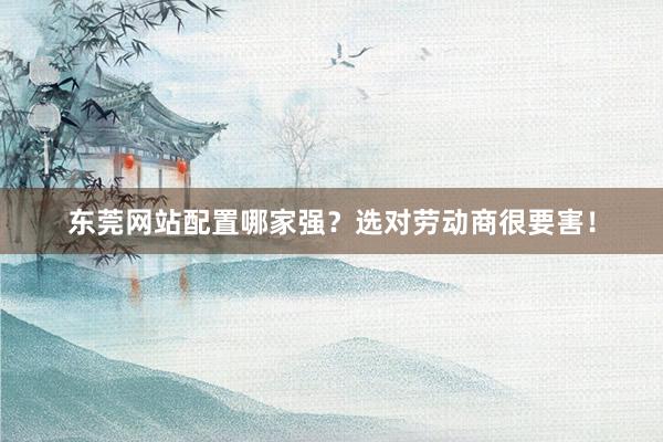 东莞网站配置哪家强？选对劳动商很要害！