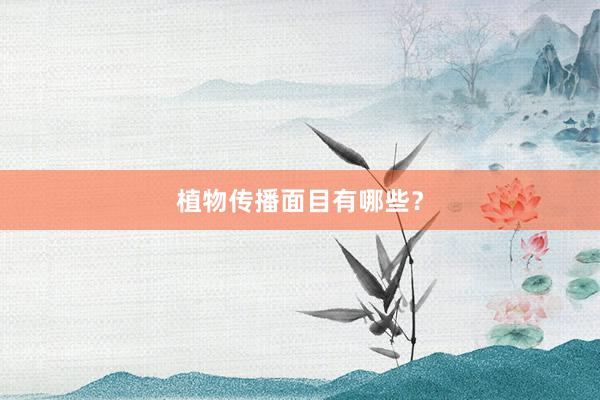 植物传播面目有哪些？