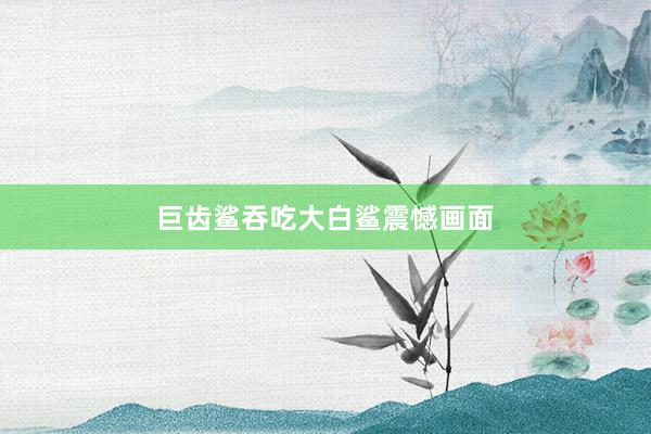 巨齿鲨吞吃大白鲨震憾画面